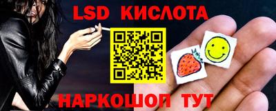 ешки Сланцы