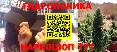 ешки Сланцы